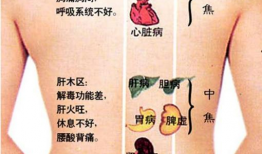 怎么刮痧背部视频教程,轻松掌握背部刮痧技巧